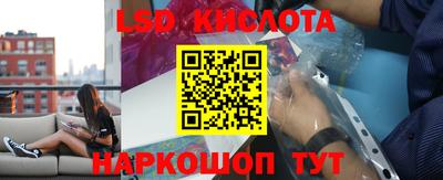 бошки Славгород