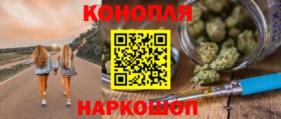 крисы Сланцы