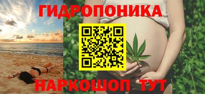 крисы Сланцы