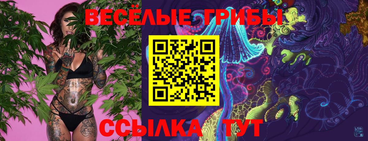 Уссурийск  Псилоцибиновые грибы Psilocybe  Вход с VPN  Галлюциногенные грибы мухоморы 